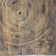 Carved wooden ceiling Curiosity cabinet 155×194cm