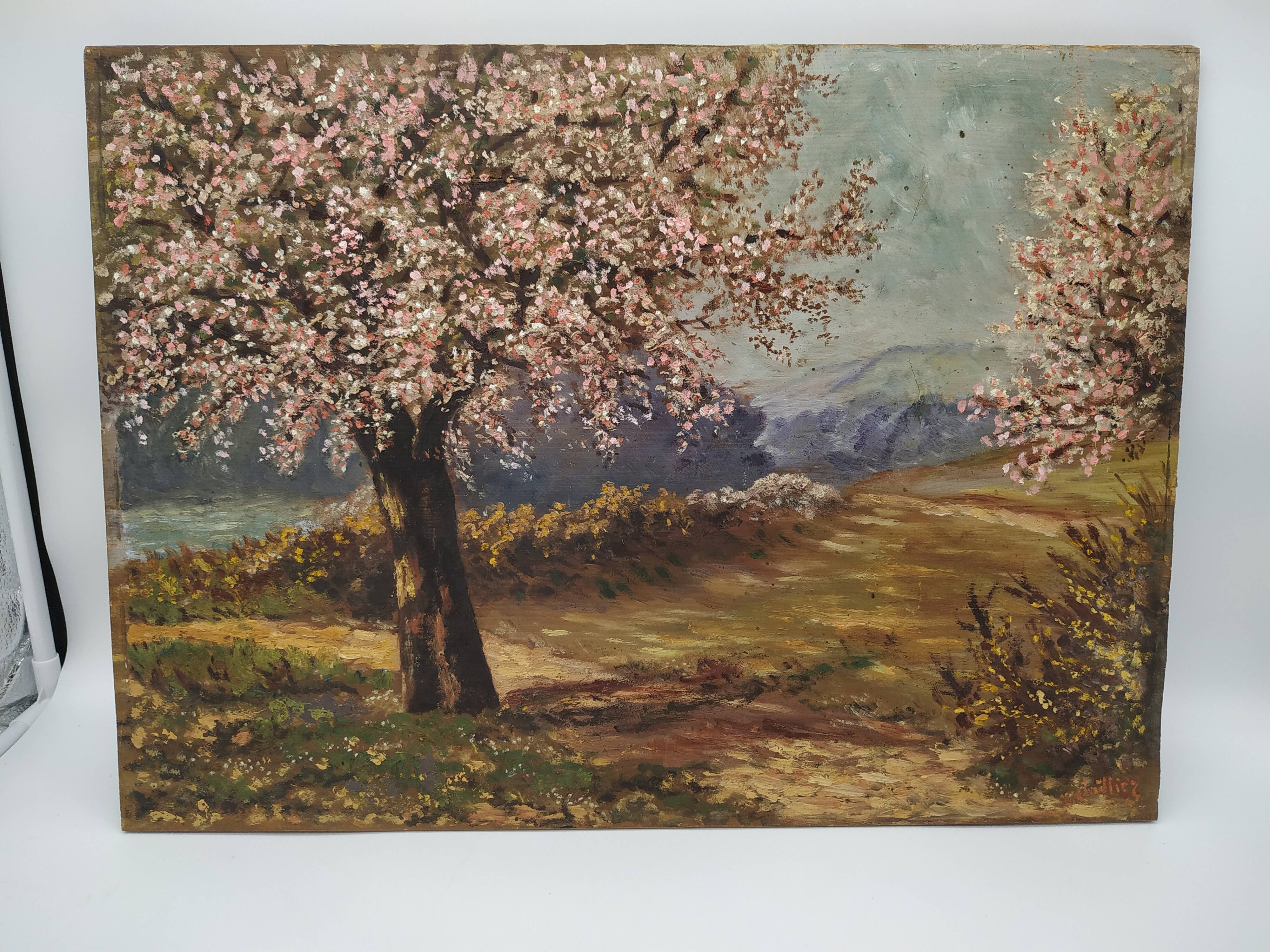Apple trees in blossom oil on panel