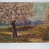 Apple trees in blossom oil on panel