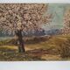Apple trees in blossom oil on panel
