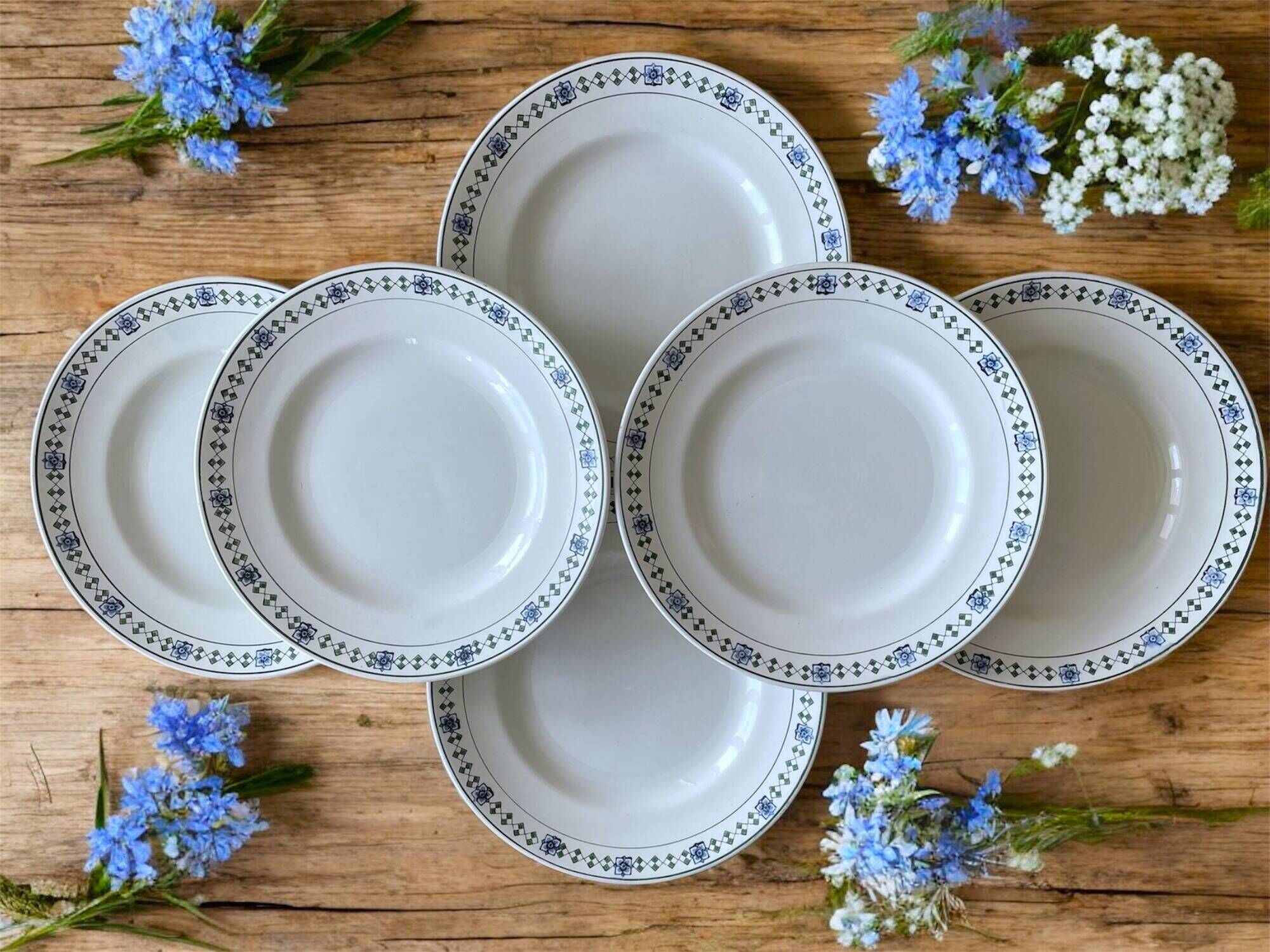 6 assiettes plates anciennes en faïence de Saint-Amand (Nord)
