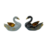 Couple of dirtyons, black swan and white swan
