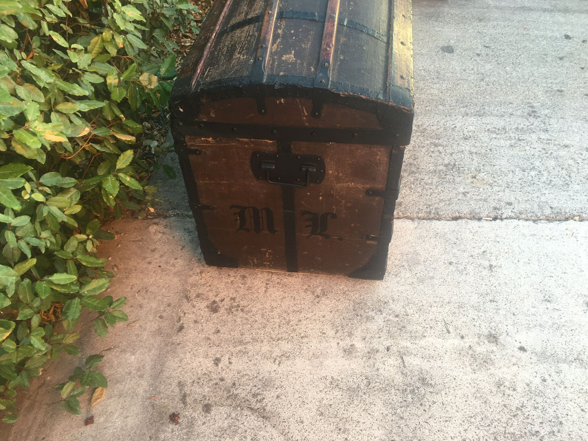 Vintage bulging trunk