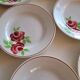 Lot of 12 old Rose Mai plates