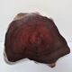 Trinket bowl free form 50/60