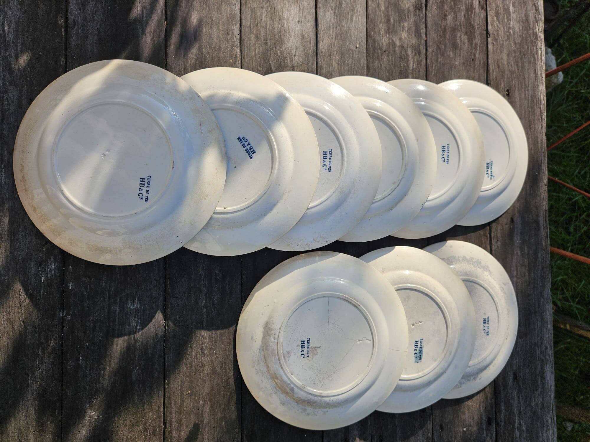 Antique 19th century plate, Terre de Fuego, blue with bird motif