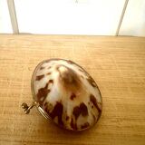 Shell and brass pill box