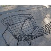 Set of 4 chairs "Wire" by Harry Bertoia, edition Knoll 1st edition