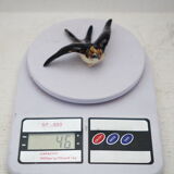 Portuguese ceramic swallows