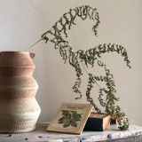 Terracotta vase with "zigzag" handles