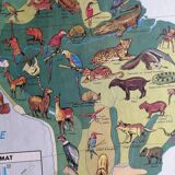 MDI school map: SOUTH AMERICA - OCEANIA fauna vegetation.