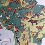 MDI school map: SOUTH AMERICA - OCEANIA fauna vegetation.