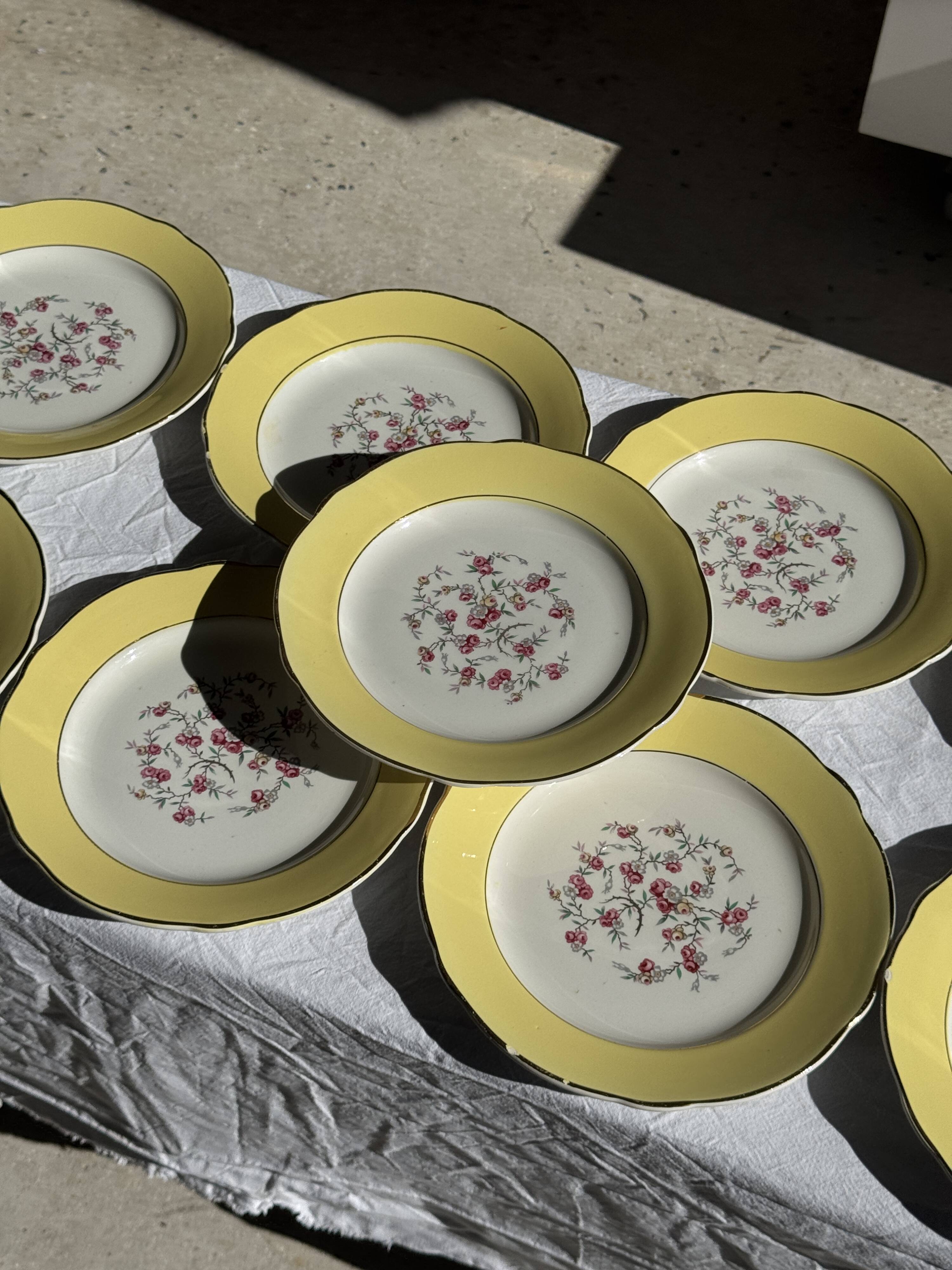 Lot de 19 grandes assiettes plates vintage jaunes fleurs roses liseré doré