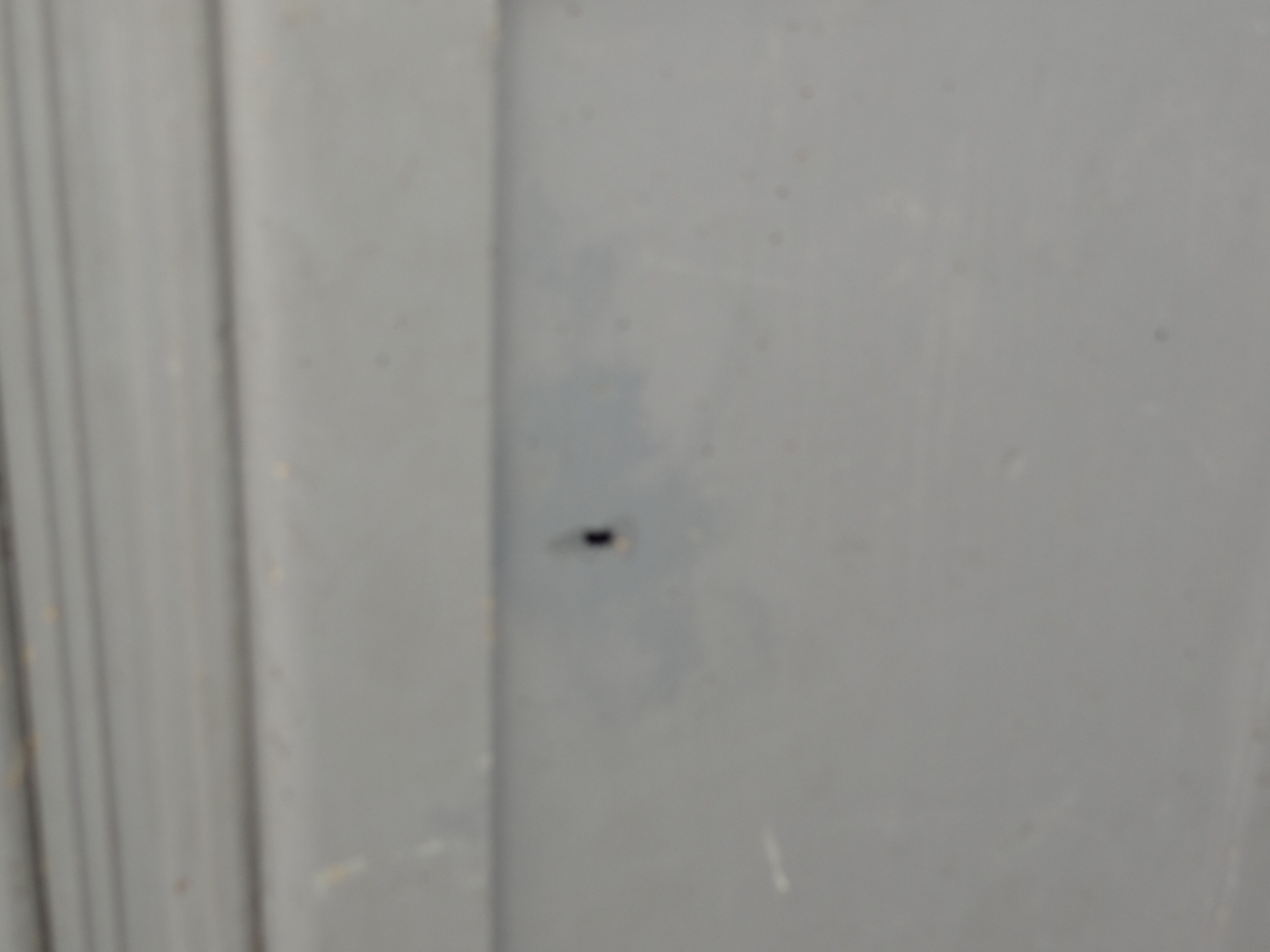 Grey parisian wardrobe