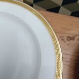 Haviland Limoges porcelain tableware