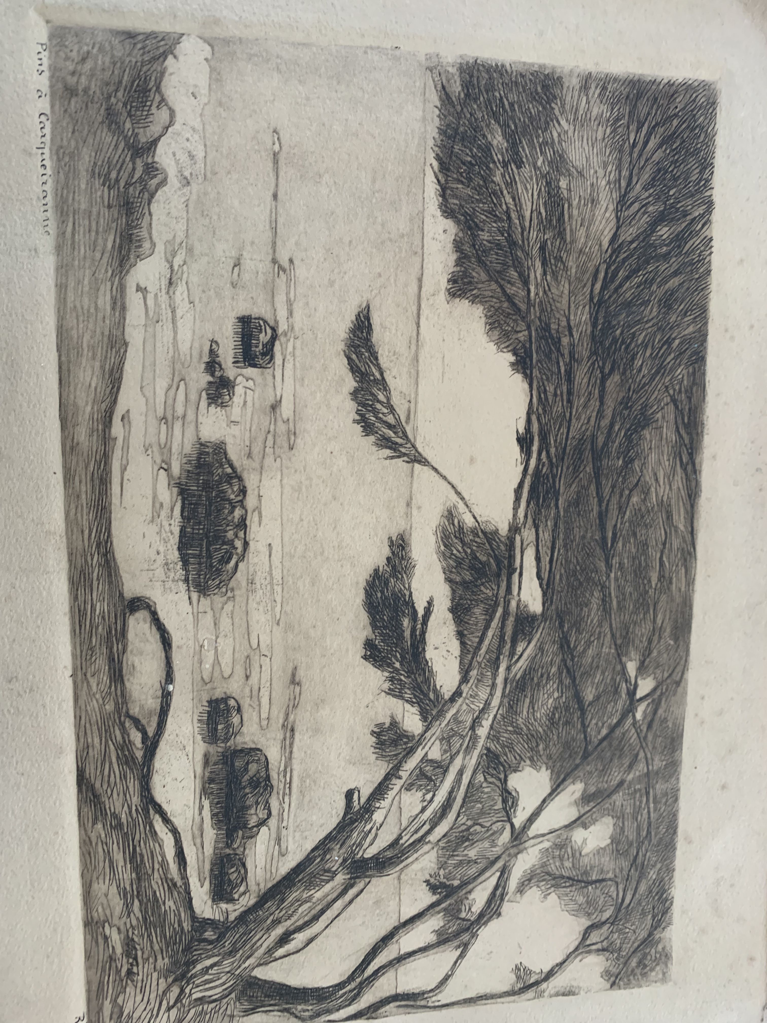 Charcoal drawing and ink the pines Carqueiranne sign Ryg