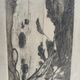Charcoal drawing and ink the pines Carqueiranne sign Ryg