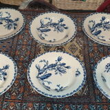 Plates gien model Cactus hollow