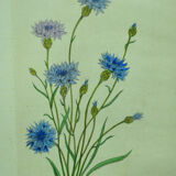 Pair of ancient lithographs of signed floral engravings to be identified