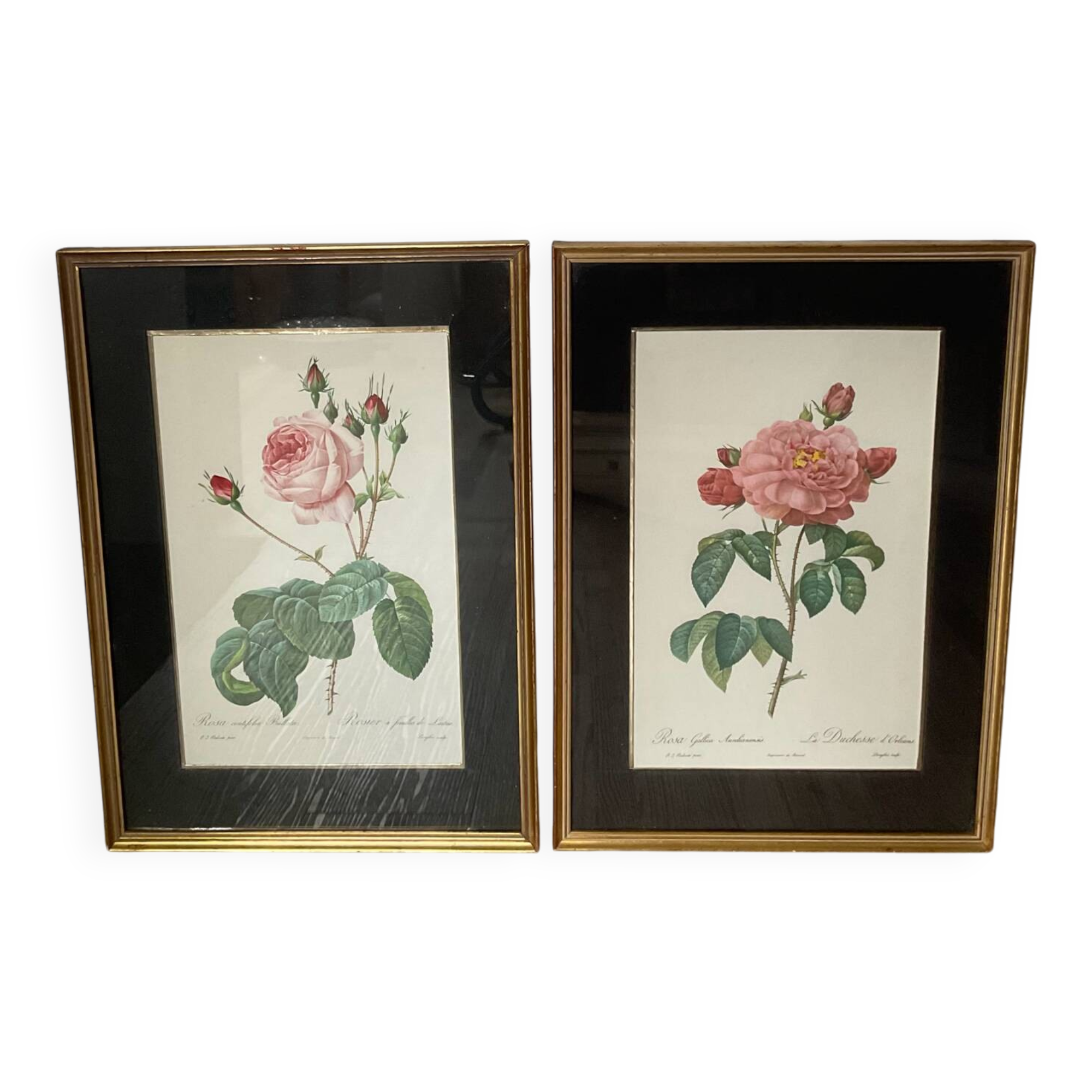 Pair of gilded wooden botanical frames from the 70s