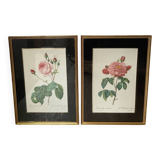 Pair of gilded wooden botanical frames from the 70s