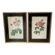 Pair of gilded wooden botanical frames from the 70s