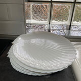 Shellfish plates