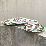 Hand painted fruit decor plates