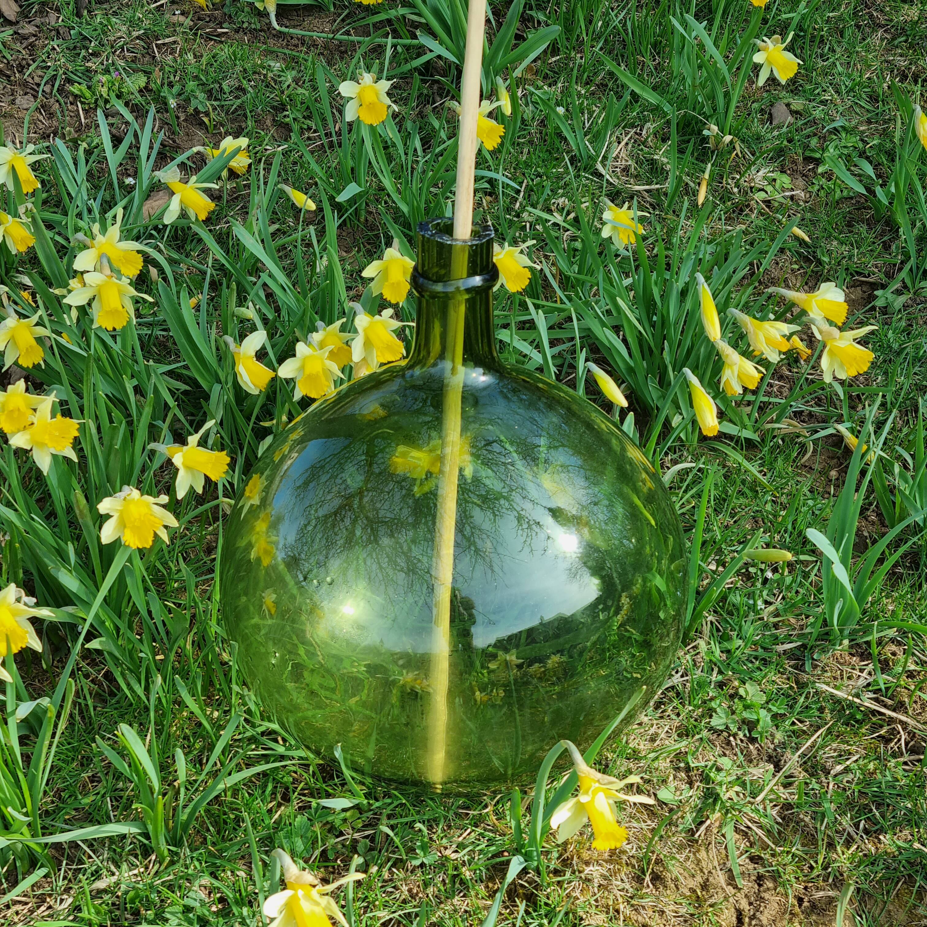 Lady jeanne green neck slashed at the end of the 19th