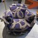 Designer armchair