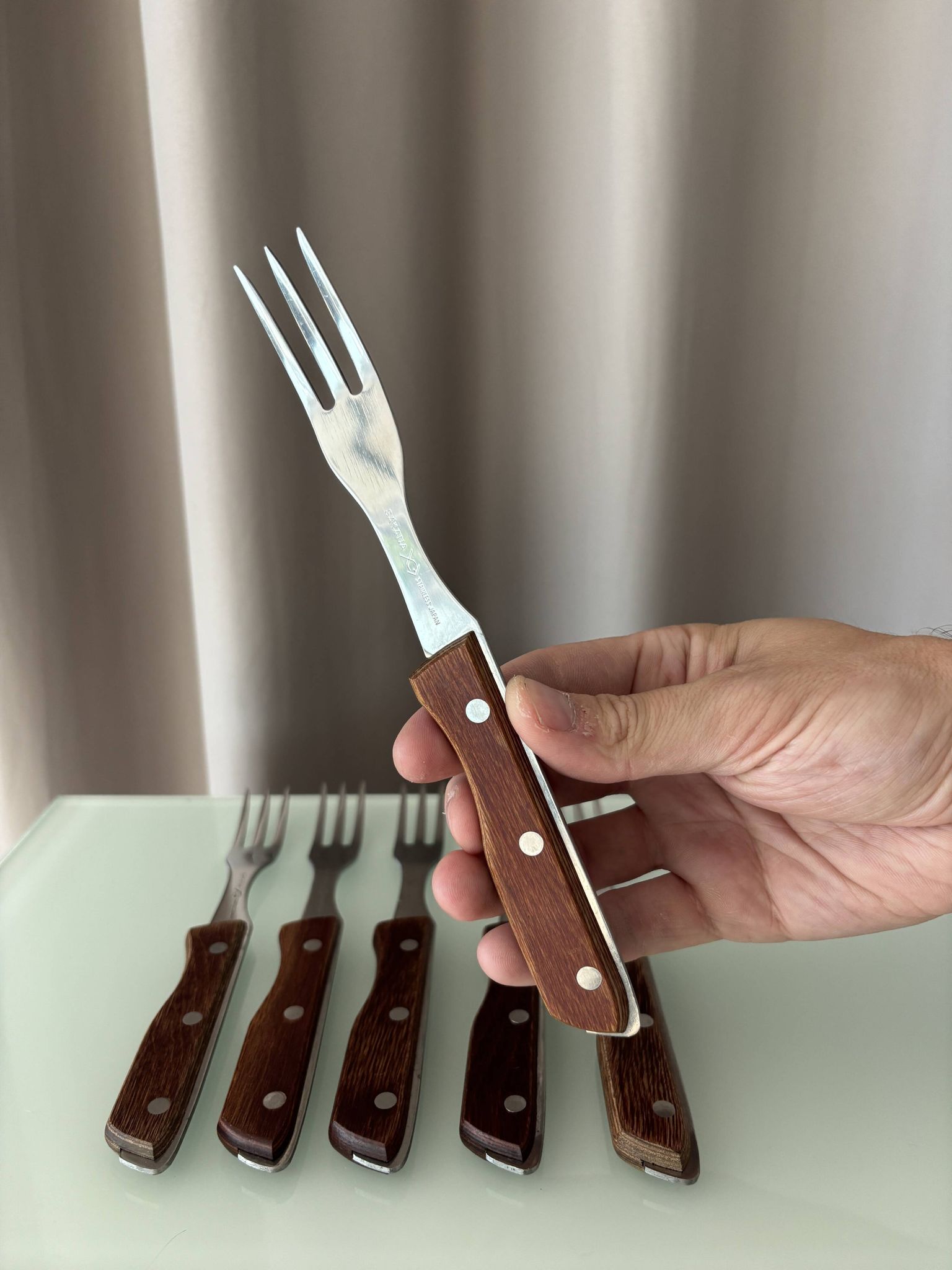 Set of 6 Vintage Sakana Japan Forks | Stainless Steel & Wood Handles