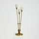 Brushed Brass and Glass Table Lamp Germany 1970s