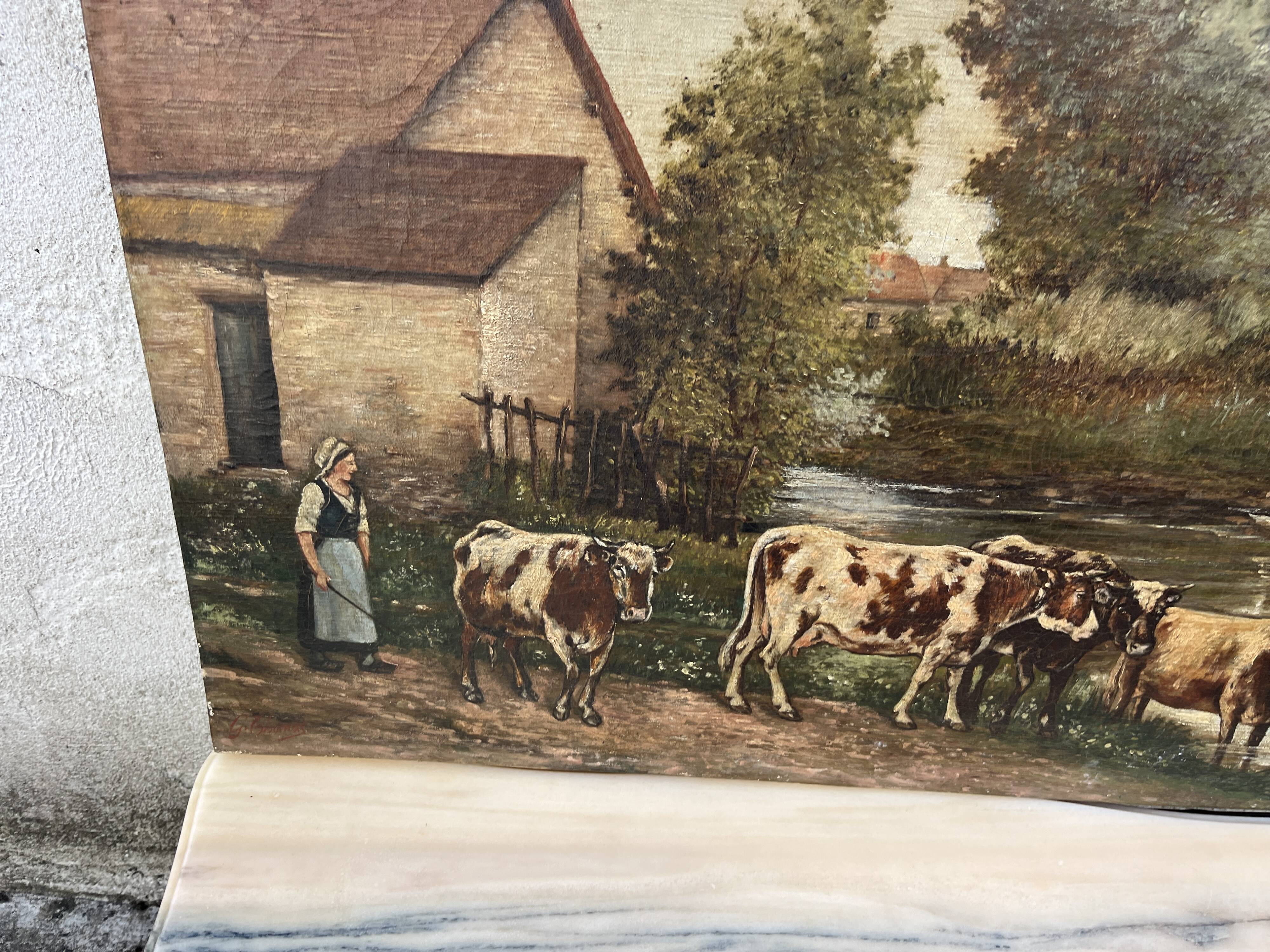 Old painting signed G. Thomas ? Cows at the watering place » (1906)