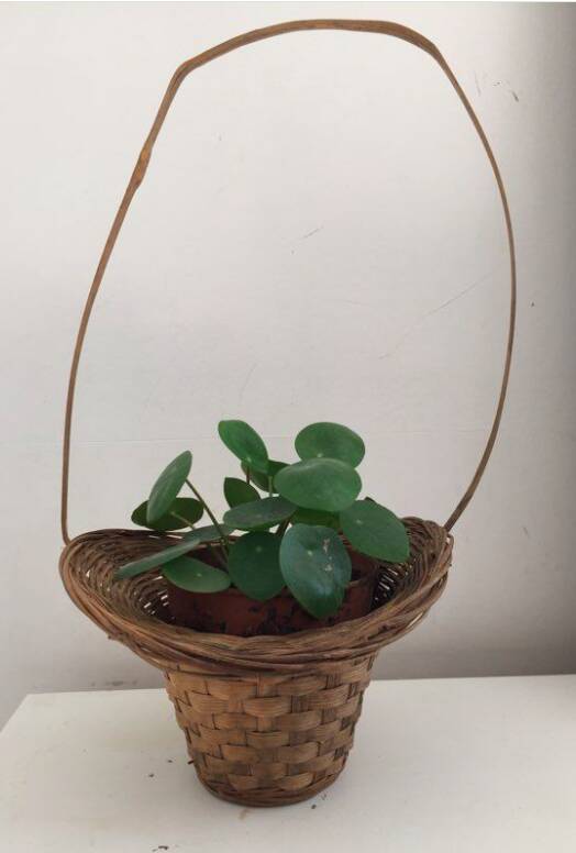 Vintage Jolie panière tressée
