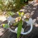 Romantic wall lamp in enamelled metal