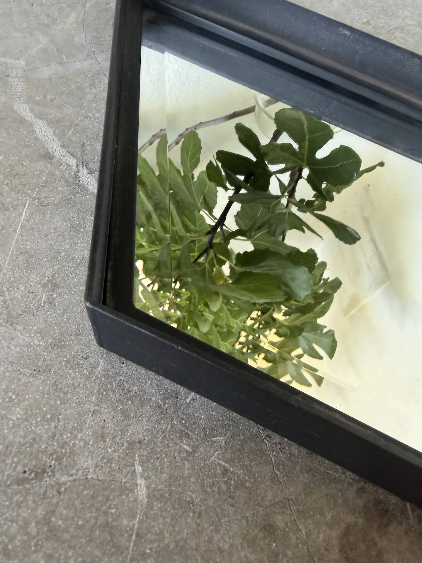 Miroir brutaliste losange en fer