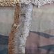 French tapestry Venke Sletbakk "Le Bouleau" 1970
