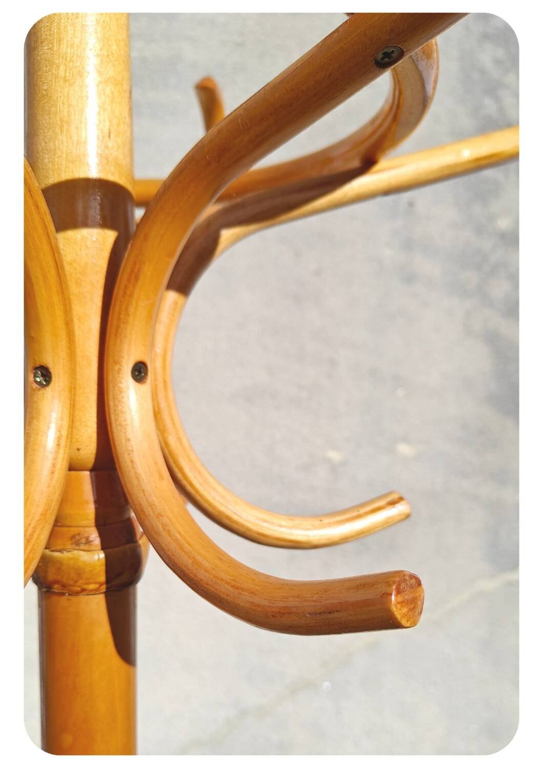 Thonet style parrot coat rack on stand