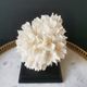 Old coral lace on black wood base. h. 12.5cm