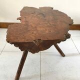 Brutalist coffee table in elm magnifying glass