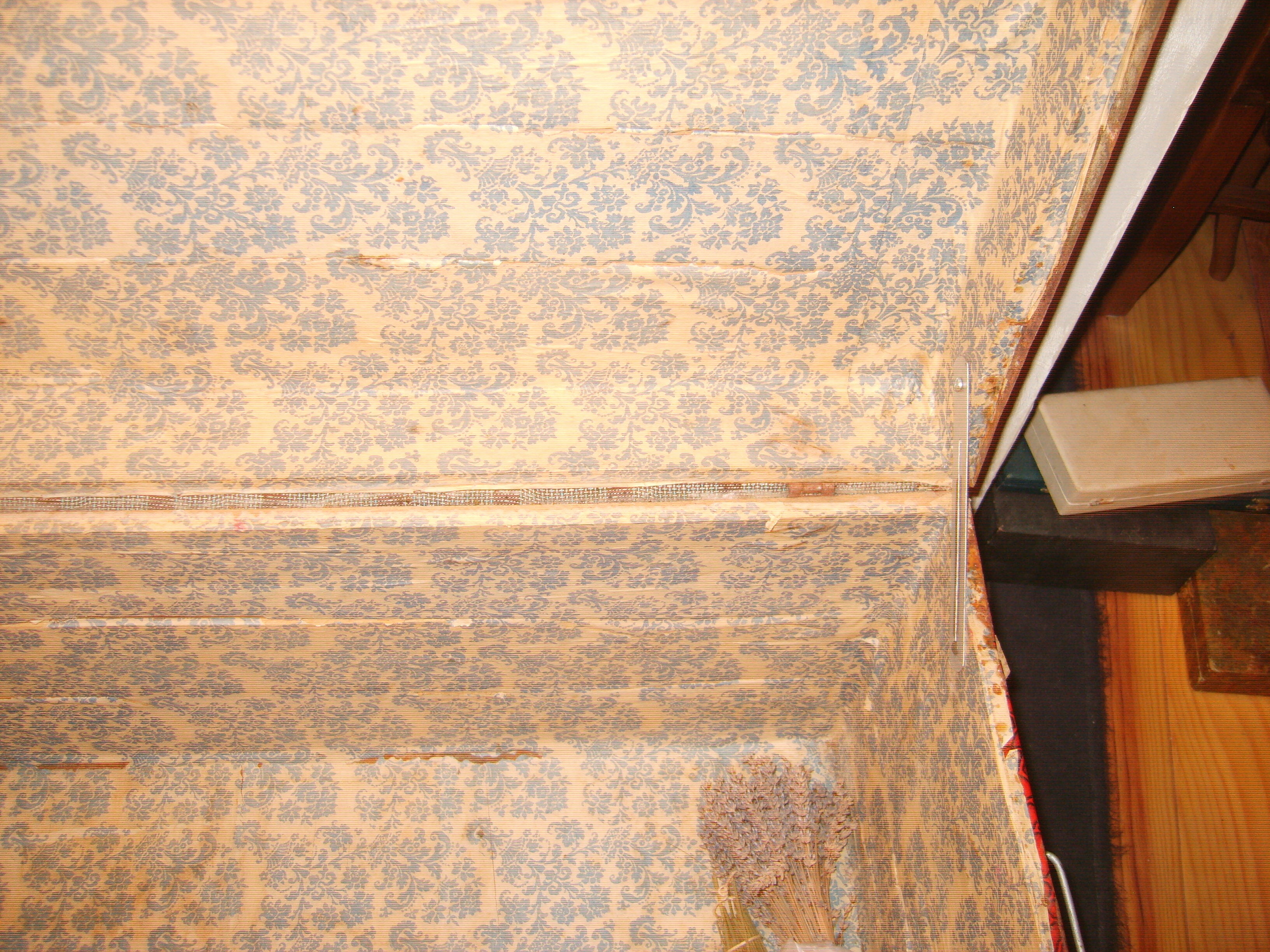 trunk of the "Portugal"