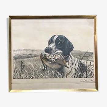 Léon danchin - hunting dog bringing back a red partridge - signed 384/500