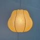 Suspension Cocoon Mid-Century Modern by Friedel Wauer for Goldkant Leuchten, 1960s