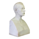 Male bust in Carrara marble, 19th century