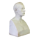 Male bust in Carrara marble, 19th century