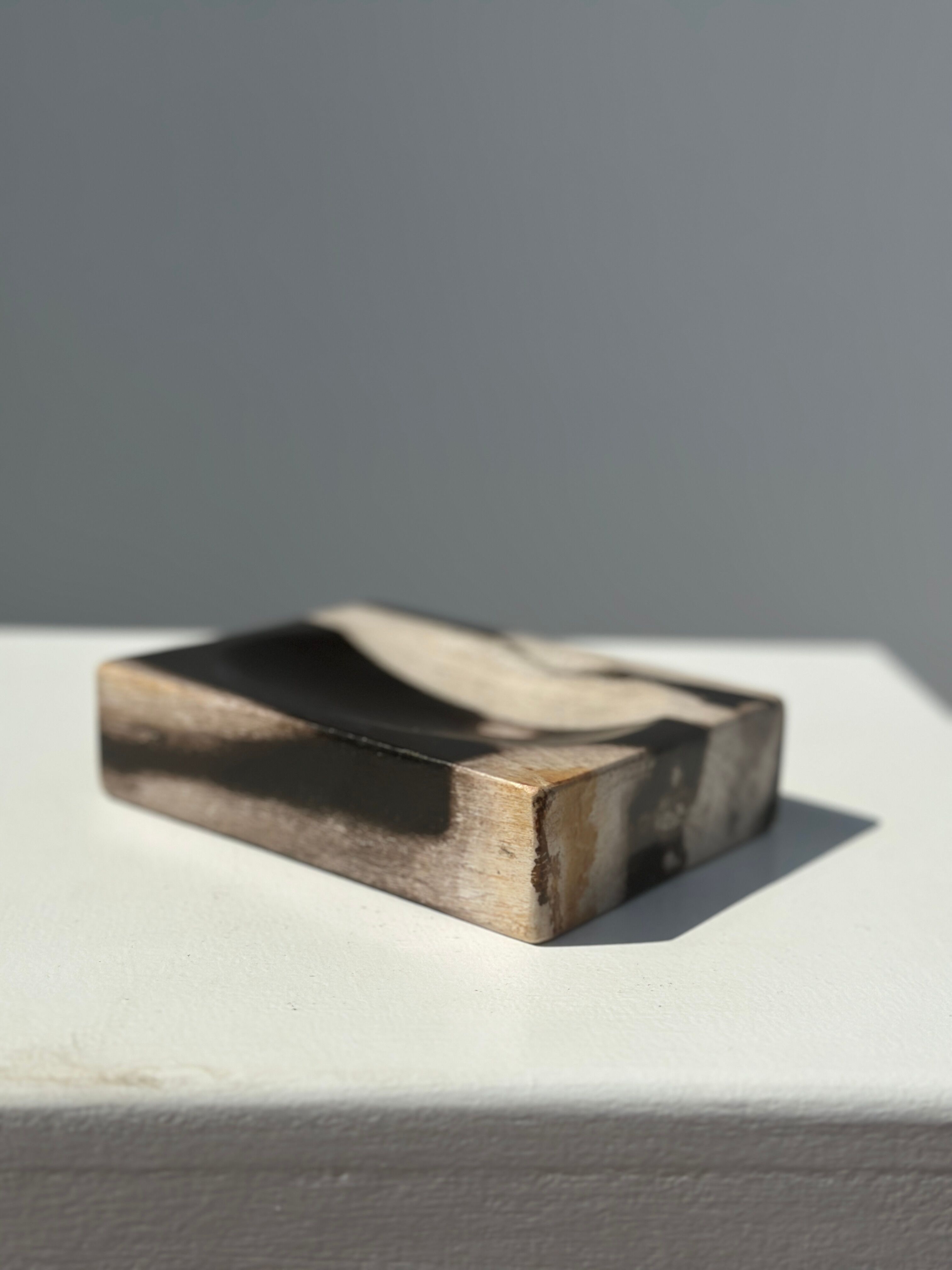 Symmetrical multicolored petrified wood soap dish