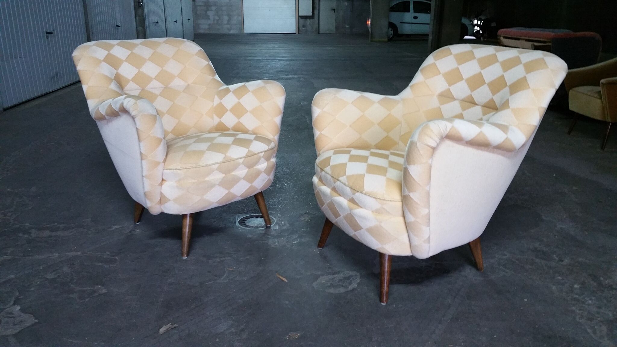 Organic year 50-60 club chairs pair