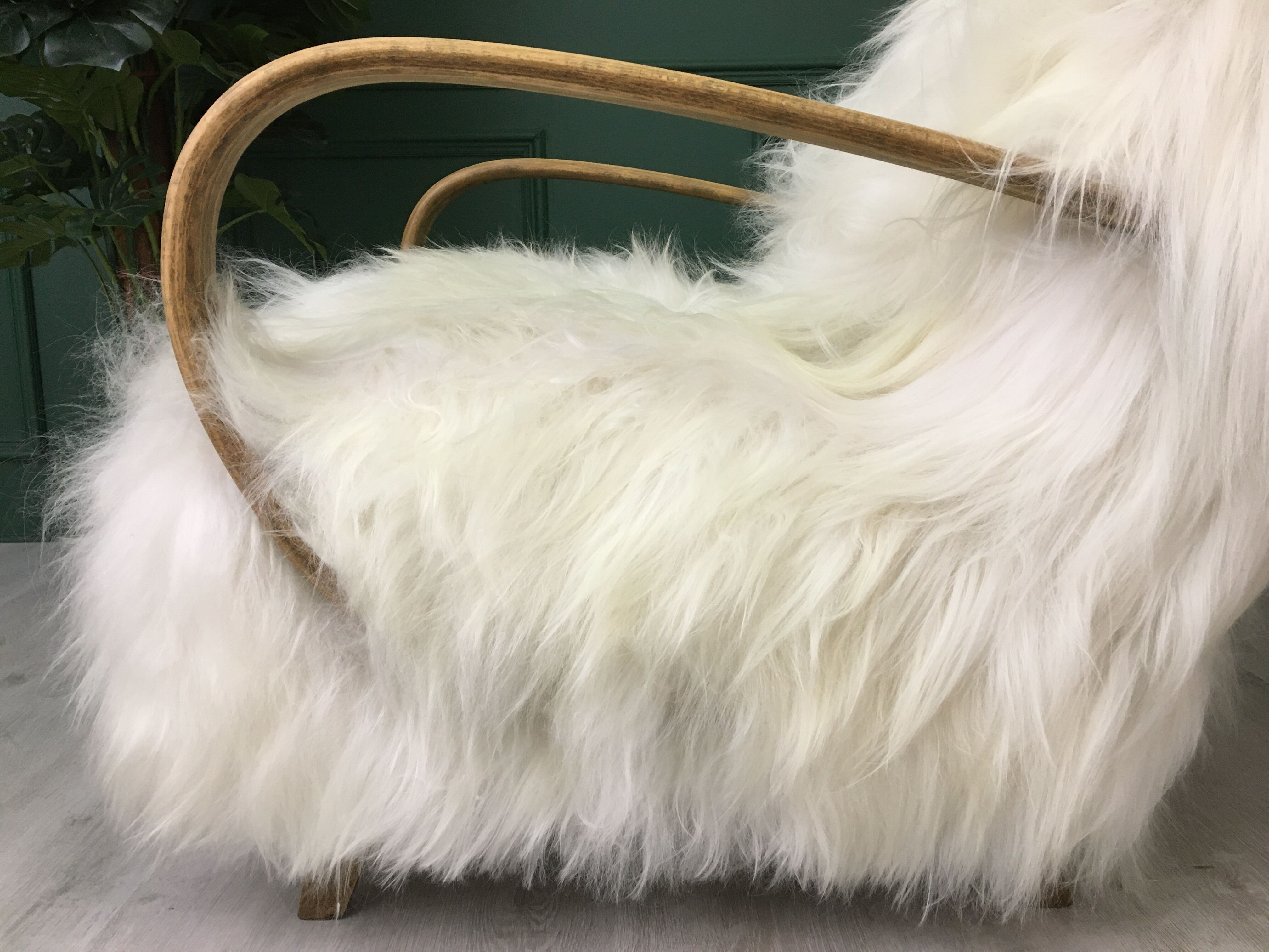 White fluffy sheepskin bentwood armchair halabala