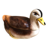 Little duck in slip