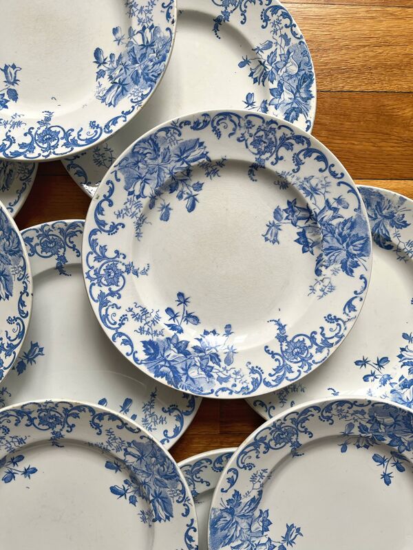 12 petites assiettes plates ''Campanule'' Saint Amand et Hamage
